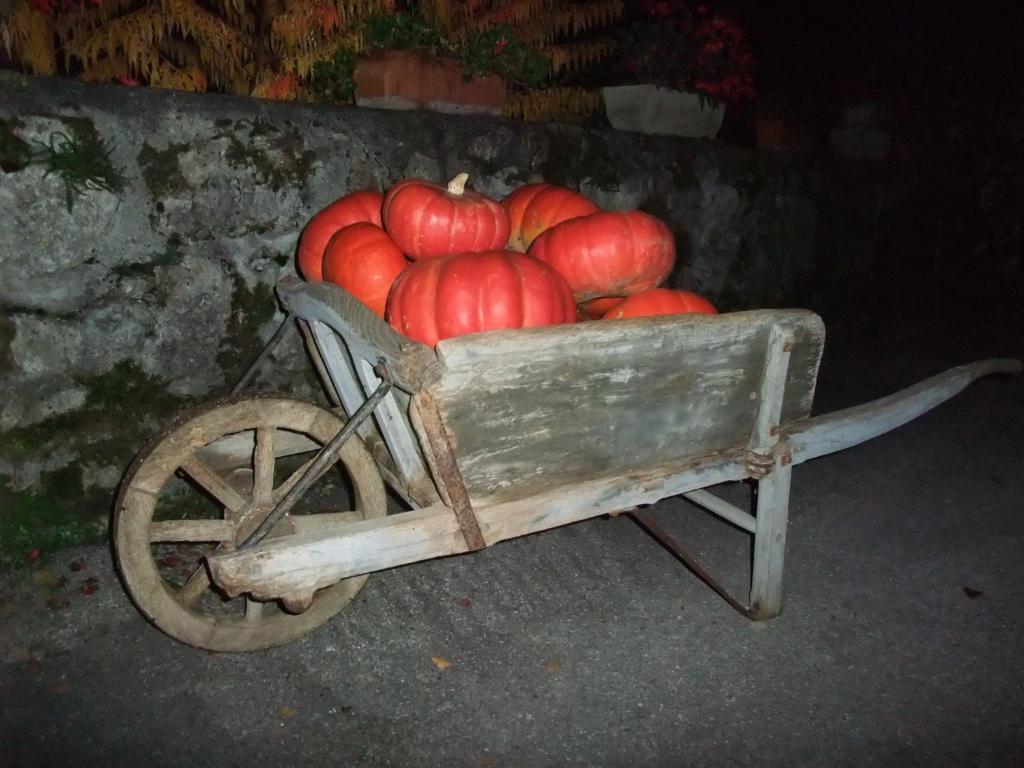 Domaine Du Grand Cellier - Insolite En Savoie Tournon Exterior photo